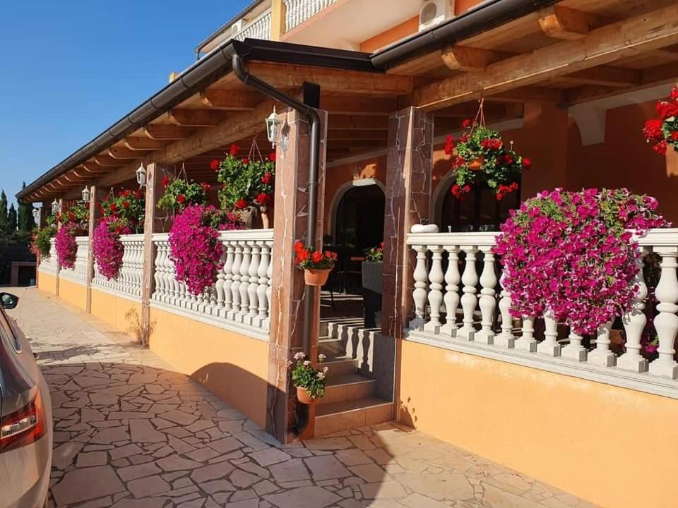 Villa Nikolina メドゥリン エクステリア 写真